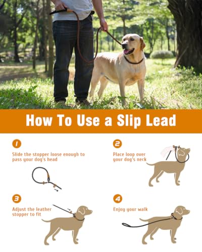 Dog Leash Slip Lead Braided Rope Pet Training Loop Leashes 5ft 6ft 8ft - color: Brown