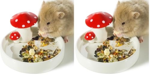 Niteangel Hamster Feeding & Water Bowls- Mushroom Ceramics Series Food Dish Feeding Bowls for Dwarf Syrian Hamsters Gerbils Mice Rats or Other Similar-Sized Small Pets (Feeding Bowl) (Pack of 2) - size: Feeding Bowl (Pack of 2)