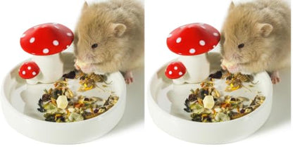 Niteangel Hamster Feeding & Water Bowls- Mushroom Ceramics Series Food Dish Feeding Bowls for Dwarf Syrian Hamsters Gerbils Mice Rats or Other Similar-Sized Small Pets (Feeding Bowl) (Pack of 2) - size: Feeding Bowl (Pack of 2)