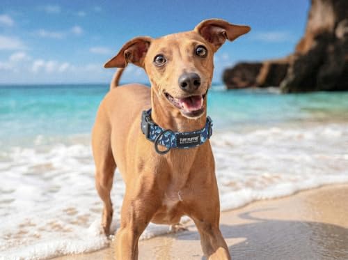 Tuff Pupper Premium Adjustable Dog Collar, Stylish Pattern Collars Designed in USA, Quick Release Buckle, Shark Tide Small (0.7 Inch Wide x 8-12 Inch Neck) - color: Shark Tide, size: Small