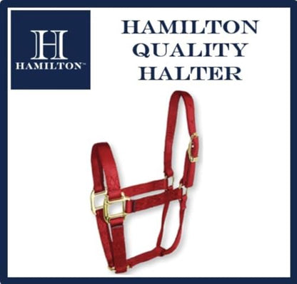 Hamilton Quality Horse Halter, 300-500 lbs, Red - color: Red, size: Yearling, 300-500lbs