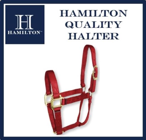 Hamilton Quality Horse Halter, 500-800 lbs, Red - color: Red, size: Small, 500-800lbs