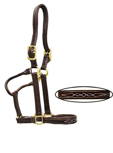 Signature Padded Halter (7 (horse))