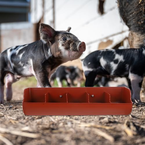 POPETPOP 5-Compartment Piglet Feed Trough Plastic Pig Feeder Manger 21.25X7.08X5.11 Inch Easy to Clean Livestock Feeding Tool for Farm Use - color: 1PC