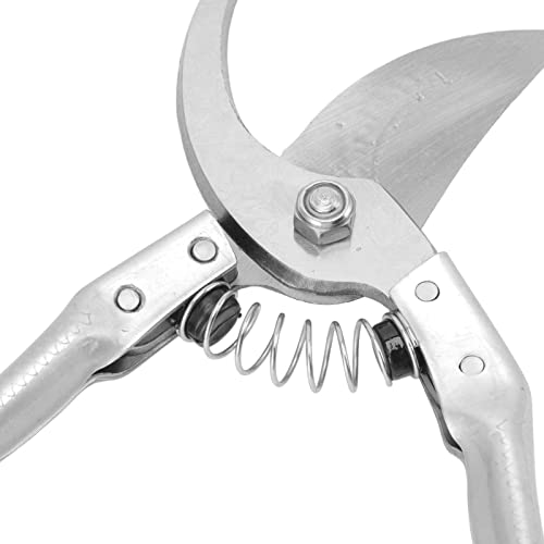 Farrier Hoof Tool Kit, Goat Hoof Trimming Shears Nail Clippers for Sheep, Lamb, Pig Hooves, Animal Toe Nails Trimming Repairing Tool (Silver)