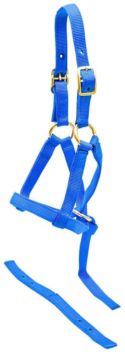 Jeffers Equine Nylon Weanling Halter for Miniature Horses – Adjustable 2 Ply 3/4" Webbing with Brass Plated Hardware, Double Crown Design, Lightweight for Training, Grooming, & Farm Use - Royal Blue - color: Royal Blue