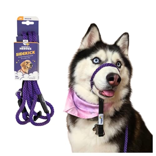 The Sidekick, Reg 3/8" Colors: Purple - color: Purple, size: Regular (3/8")