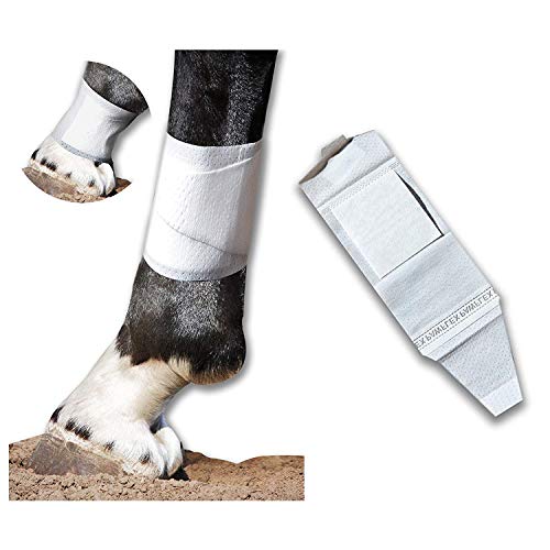 Equine BandaFlex Non-Adhesive, Disposable, Washable and Reusable Bandages (Small) - size: Small