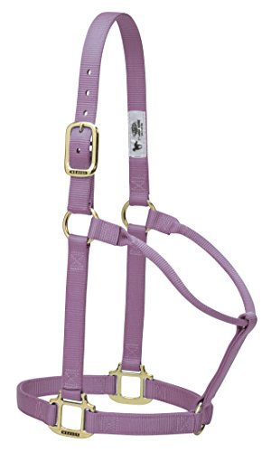 Weaver Leather Original Non-Adjustable Nylon Horse Halter, Small, Lavender