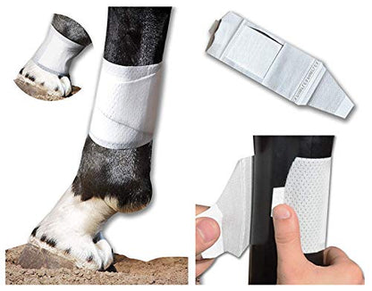 Equine BandaFlex Non-Adhesive, Disposable, Washable and Reusable Bandages (Small) - size: Small