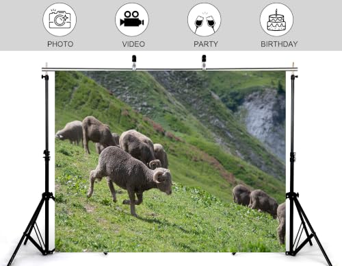 9x6ft Single Running Wool Sheep Backdrop Rolling Green Hillside Foggy Cliff Background Photography Background Tapestry Party Country Pasture Scenery Decorations Banner Photo Booth Props - size: 9x6ft