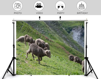 9x6ft Single Running Wool Sheep Backdrop Rolling Green Hillside Foggy Cliff Background Photography Background Tapestry Party Country Pasture Scenery Decorations Banner Photo Booth Props - size: 9x6ft
