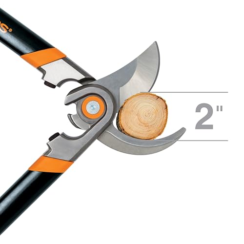 Fiskars 30" Forged Garden Bypass Loppers, 2" Cut Capacity Tree Trimmer | Branch Cutter Tool, Heavy-Duty Steel Blade with Low-Friction Coating, Long Handles for Leverage and Controlled Pruning - style: 30 in