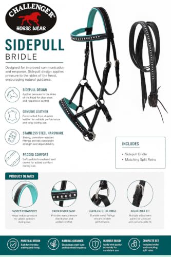 CHALLENGER Horse Western English Brown Leather Bitless Sidepull Padded Bridle Reins Teal 7708BRT