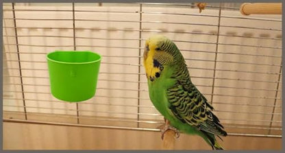 40 Pack Cage Cups Birds Feeders Seed Bowl Chicken Feeding Watering Dish Rabbit Water Food Hanging Wire Cages Box 8oz Coop Cups for Pet Parrot Parakeet Gamefowl Poultry Pigeon (Green) - size: 40PCS Green