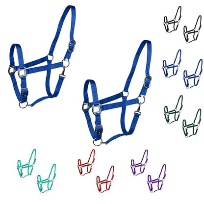 Majestic Ally Pack of 2 Adjustable Halter for Horses–Adjustable Chin and Crown– Sewn-in Throat Snap Hook- Heavy Duty Rose Gold or Black Nickel Finish Hardware–Full - color: Royal Blue