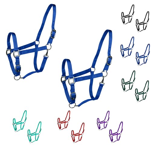 Majestic Ally Pack of 2 Adjustable Halter for Horses–Adjustable Chin and Crown– Sewn-in Throat Snap Hook- Heavy Duty Rose Gold or Black Nickel Finish Hardware–Full - color: Royal Blue