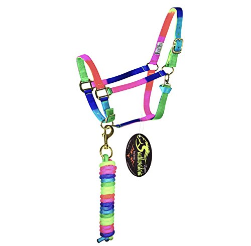 Southwestern Equine Rainbow Halter and Lead Horse Size Adjustable Nose