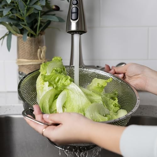Fox Run Stainless Steel Colander, Large 5 Quart Kitchen Pasta Strainer - size: 5 Quart Large