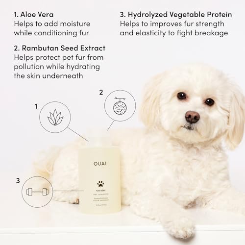 OUAI Fur Bébé Pet Shampoo - Mercer Street Scent (16 Fl oz)