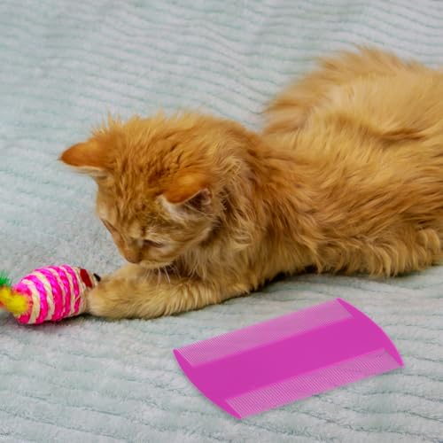 14 Pcs Lice Comb, Flea Comb, Double Sided Dandruff Comb, Cat Comb, Plastic Flea Comb for Cats Fine Teeth Pet Comb for Cat Dog To Keep Skin Healthy And Hair Soft (Multi-color)