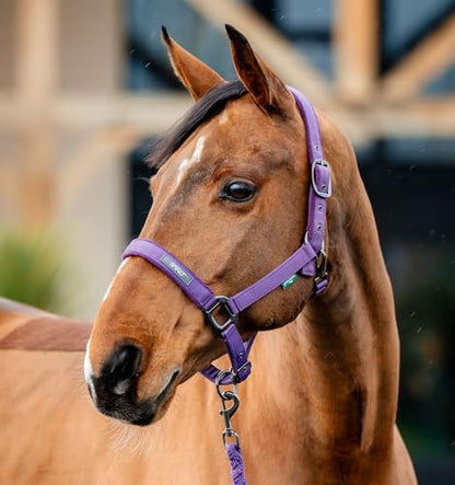 Horseware® Amigo® Halter & Leadrope Set - color: Winterberry, size: Cob