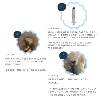 Corazón Therapeutics Equine Wound Care Kit, 3-Part Treatment System with Salve, Spray and Oral Solution