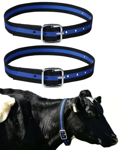 2PC Livestock Adjustable Cow Collar,Modern Style Braid Cow and Rope Halter,Adjustable Cow Halter Lead,Livestock Showing Supplies (Blue) - color: Blue