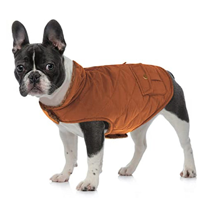 Queenmore XS Warm Puffer Dog Jacket Thick Plush Lining Winter Puppy Coat - color: Brown, size: X-Small