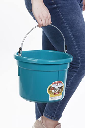 Little Giant® Flat Back Plastic Animal Feed Bucket | Animal Feed Bucket with Metal Handle | Horse Stall Feeding and Watering Supplies (Teal, 8 Quart) - color: Teal, size: 8 Quart