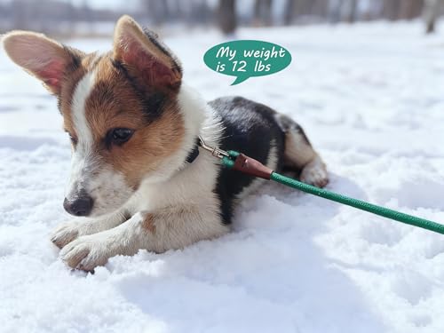 Small Dog Leash 1/4" by 6/8/10 FT Lightweight Strong Rope Leash - color: dark green, size: 1/4" x 10'