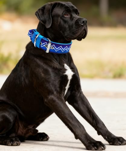 Dog Collar for Large Dogs,2 in Wide Heavy Duty,Pressure-Relief Padded, D-M - color: Violet Cyan, size: M