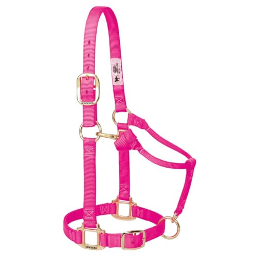 Weaver Leather Original Adjustable Nylon Horse Halter, Weanling/Pony, Diva Pink