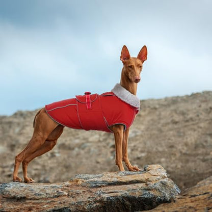 Lelepet Dog Coat Waterproof Dog Jacket Fleece Vest with Adjustable Buckle - color: Red, size: S