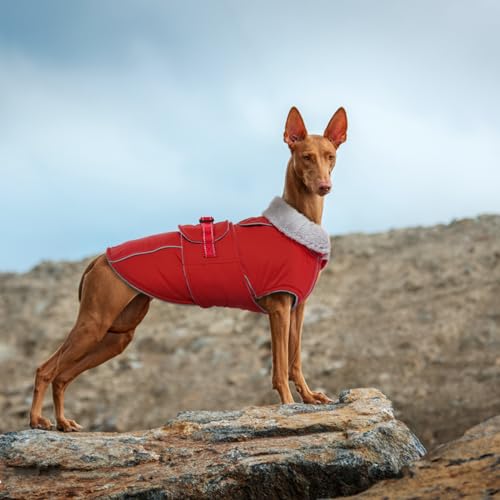 Lelepet Dog Coat Waterproof Dog Jacket Fleece Vest with Adjustable Buckle - color: Red, size: M
