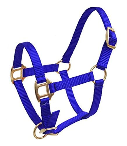Showman FOAL/MINI Premium Nylon Halter w/Brass Hardware - color: Blue
