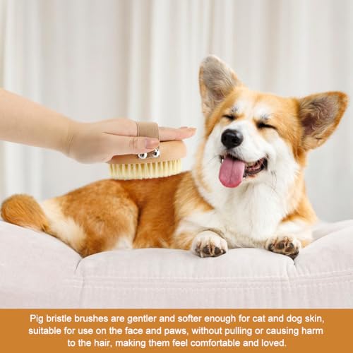 Soft Boar Bristle Pet Palm Brush for Short Haired Dogs and Cats, Ergonomic Pet Brush with Band, Natural Bristle Grooming Brus-h for Gentle Massage/Reduces Shedding(COLOR:Wood)