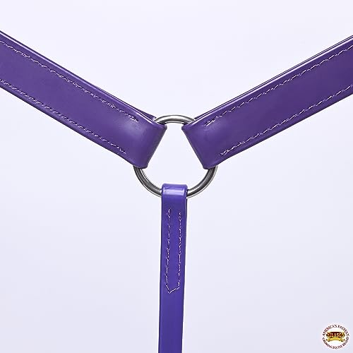 HILASON Western Horse Biothane Leather Breast Collar Tack - color: Purple