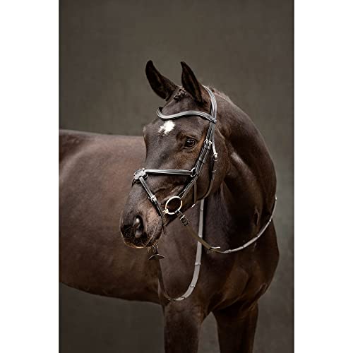 LeMieux Arika Grackle Bridle - color: Black/Silver, size: Pony