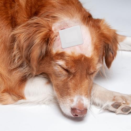 16 PCS Dog Tail Protector Dog Ends Starter Pack Including 10 Breathable Mesh Dog Tail Dressing 5 Gauze and 1 Roll Self-Adhesive Pet Bandage Vet Wrap for Dogs Cats Other Pets Animals