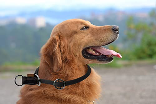 Braided Round Martingale Dog Collar, Training Collar with Slidable Stop Ring - Ideal for Medium/Large Dogs (M+(1/2") - 18" Long, Black) - color: Black, size: M+(1/2") - 18" Long