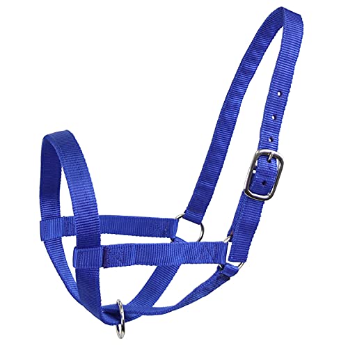 Derby Originals Adjustable Nylon Livestock Cattle Halters - color: Royal Blue, size: X-Large (1400-2000+lbs)