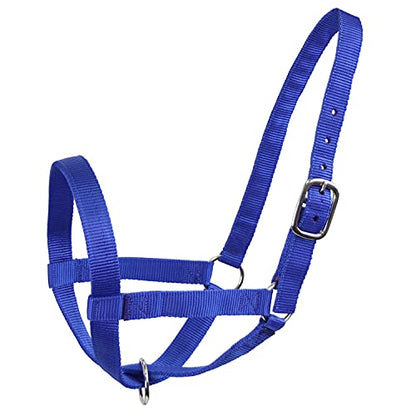 Derby Originals Adjustable Nylon Livestock Cattle Halters - color: Royal Blue, size: Large (800-1400lbs)