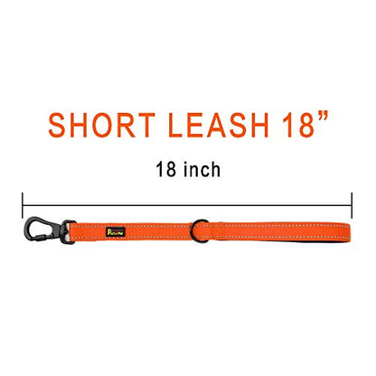 PLUTUS PET Short Training Dog Leash with Padded Handle for Medium Large Big Dogs,18 Inch Heavy Duty Strong Traffic Dog Leash with Carabiner Clip for Climbing Walking or Guiding Blind（18”，Orange | Reflective, Heavy Duty Strong Nylon, Traffic Leash with Car