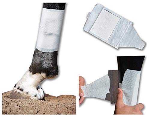 Equine BandaFlex Non-Adhesive, Disposable, Washable and Reusable Bandages (Medium) - size: Medium