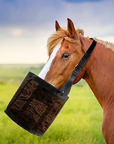 QWORK 2 Pack Horse Feed Bag for Grain - Durable Mesh Grain Feeder with Adjustable Strap, Comfortable Neck and Nose Pad Horse Muzzle Feed Bag, for Feeding Grain, Powder, Supplements