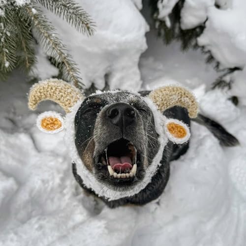 Ram Goat Costume - Warm Knit Dog Snood Wrap for Pets, Neck Ear Cover Protection, Halloween Winter (Medium) - size: Medium