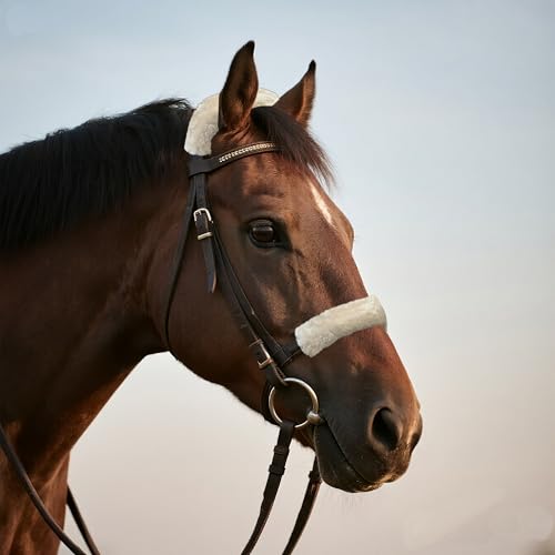 Soft Fleece Halter Covers for Horses BN Series (2-Piece, Cream) - color: Cream