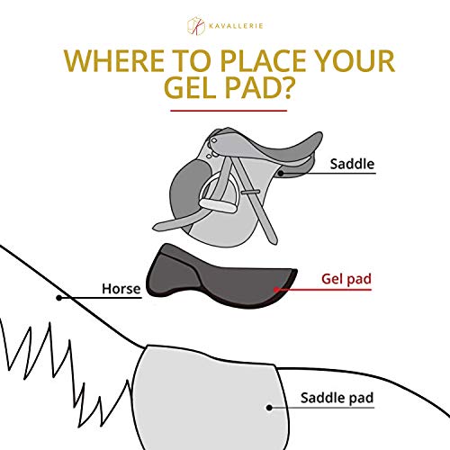 Kavallerie Gel Saddle Pad - Helps with Saddle Bridging, Sore Back, Swayed Back, High Withers English Bareback Pad for Horses, Protective, Perfect for Eventing, Schooling, Dressage - size: Seat Saver
