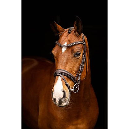 LeMieux Arika Dressage Bridle - color: Brown/Silver, size: X-Full